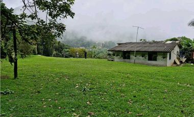 LOTE CON CASA PARA REMODELAR-FRENTE A LA BARRA DE MANOLO - DAPA