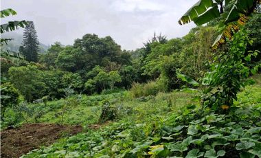 LOTE CON CASA PARA REMODELAR-FRENTE A LA BARRA DE MANOLO - DAPA