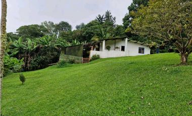 LOTE CON CASA PARA REMODELAR-FRENTE A LA BARRA DE MANOLO - DAPA