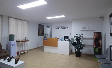 Consultorios médicos en renta en Clínica Dental Bosques
