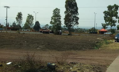 Terreno comercial en renta sobre carretera Salida a Quiroga