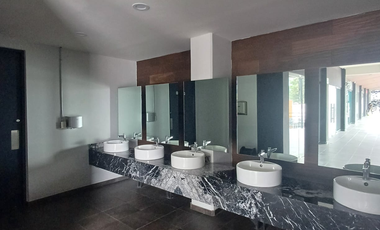 Locales en renta en Plaza Río, Col. Félix Ireta