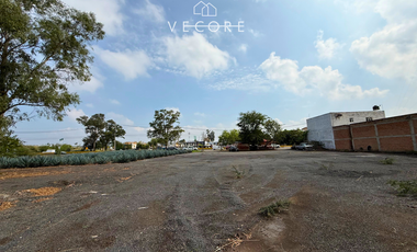 TERRENO EN VENTA EN CERRO DE LA CAMPANA, ZAPOTLANEJO, JALISCO