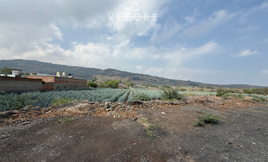 TERRENO EN VENTA EN CERRO DE LA CAMPANA, ZAPOTLANEJO, JALISCO