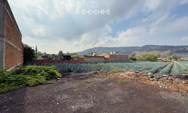 TERRENO EN VENTA EN CERRO DE LA CAMPANA, ZAPOTLANEJO, JALISCO