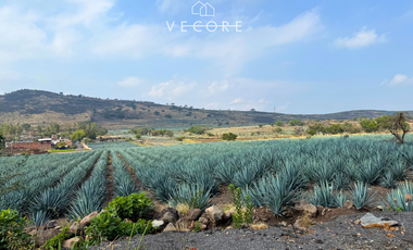 TERRENO EN VENTA EN CERRO DE LA CAMPANA, ZAPOTLANEJO, JALISCO