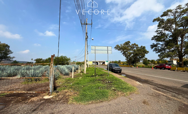 TERRENO EN VENTA EN CERRO DE LA CAMPANA, ZAPOTLANEJO, JALISCO