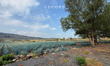 TERRENO EN VENTA EN CERRO DE LA CAMPANA, ZAPOTLANEJO, JALISCO