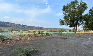 TERRENO EN VENTA EN CERRO DE LA CAMPANA, ZAPOTLANEJO, JALISCO