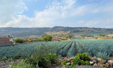 TERRENO EN VENTA EN CERRO DE LA CAMPANA, ZAPOTLANEJO, JALISCO