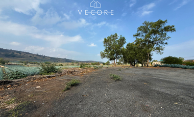 TERRENO EN VENTA EN CERRO DE LA CAMPANA, ZAPOTLANEJO, JALISCO