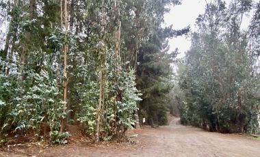 Departamento en Venta en Tranque de la Luz