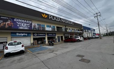 Locales en renta en Santa Cruz del Valle