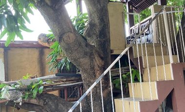 Big Lot with House in Marcelo Green Village, Parañaque City for Sale!