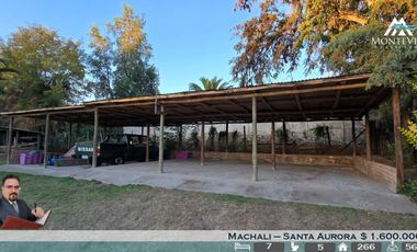 LIDER MACHALI - CURVA