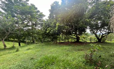 FINCA EN ARRIENDO  VIA KM 12| 9211