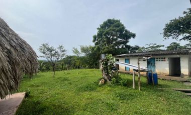 FINCA EN ARRIENDO  VIA KM 12| 9211