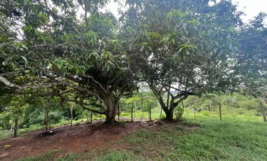 FINCA EN ARRIENDO  VIA KM 12| 9211