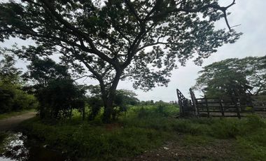 FINCA EN ARRIENDO  VIA KM 12| 9211