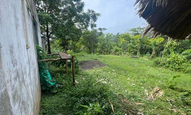 FINCA EN ARRIENDO  VIA KM 12| 9211