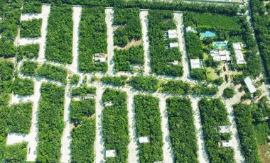 Lote a la venta en Playa del Carmen  con alberca, gym