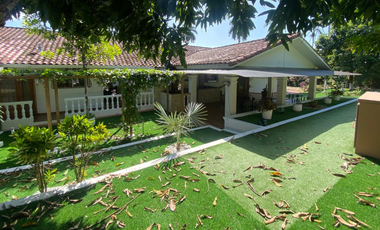 HOWARD / 1305 M2 / 4 HABITACION + SERVICIO / TERRAZA / BOHIO / JARDIN