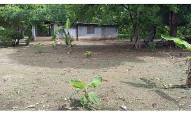 TERRENO / COCLE / SANTA RITA /  9 HECTAREAS