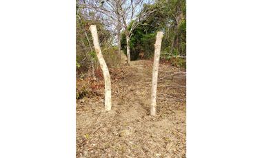 TERRENO / COCLE / SANTA RITA /  9 HECTAREAS