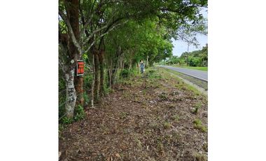 TERRENO / COCLE / SANTA RITA /  9 HECTAREAS