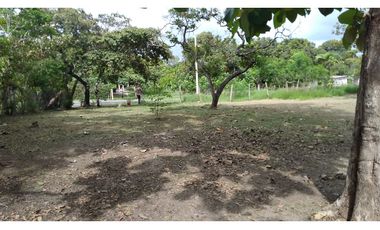 TERRENO / COCLE / SANTA RITA /  9 HECTAREAS