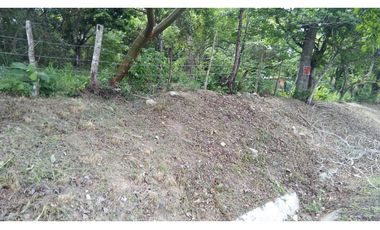 TERRENO / COCLE / SANTA RITA /  9 HECTAREAS