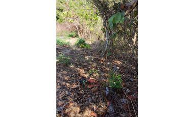 TERRENO / COCLE / SANTA RITA /  9 HECTAREAS