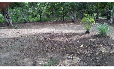 TERRENO / COCLE / SANTA RITA /  9 HECTAREAS