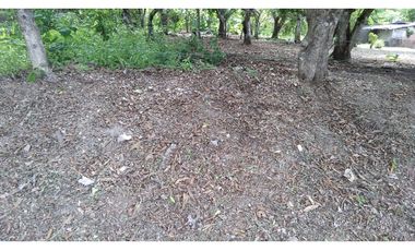 TERRENO / COCLE / SANTA RITA /  9 HECTAREAS