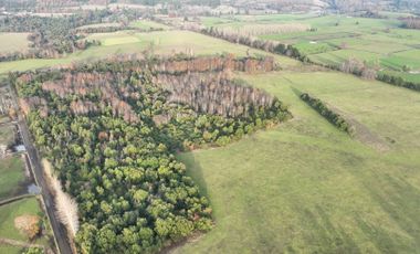 Parcela en venta en PAILLACO