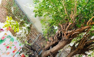 VENTA PH  TIPO CASA 3 AMB VILLA DOMINICO