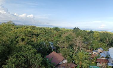 Brand-New Furnished 7-Bedrooms House in Bolod, Panglao, Bohol 19M near beach
