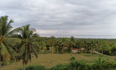 Overlooking furnished 3 bedrooms house for rent in mayacabac Dauis Panglao