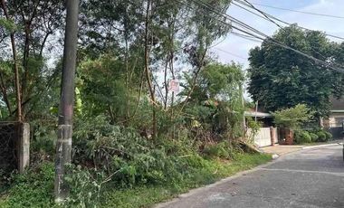 Residential Plot for sale in Metro Manila, Parañaque City