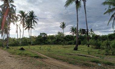 1000sqm clean title lot in Tawala Panglao Bohol at 3200 per sqm