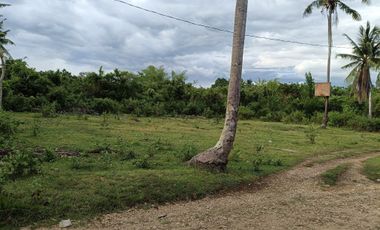 1000sqm clean title lot in Tawala Panglao Bohol at 3200 per sqm