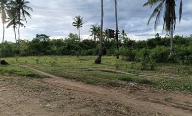 1000sqm clean title lot in Tawala Panglao Bohol at 3200 per sqm
