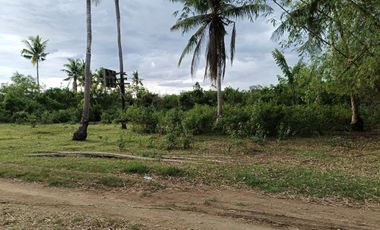 1000sqm clean title lot in Tawala Panglao Bohol at 3200 per sqm