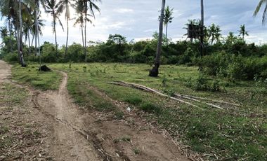 1000sqm clean title lot in Tawala Panglao Bohol at 3200 per sqm