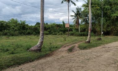 1000sqm clean title lot in Tawala Panglao Bohol at 3200 per sqm