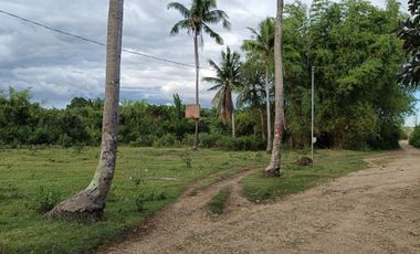 1000sqm clean title lot in Tawala Panglao Bohol at 3200 per sqm