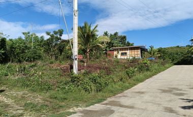 650sqm corner lot in Mariveles Dauis Panglao Bohol 3500 per sqm