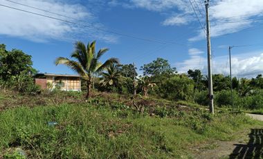 650sqm corner lot in Mariveles Dauis Panglao Bohol 3500 per sqm