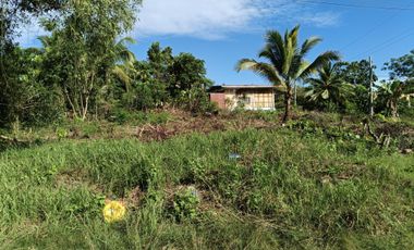 650sqm corner lot in Mariveles Dauis Panglao Bohol 3500 per sqm