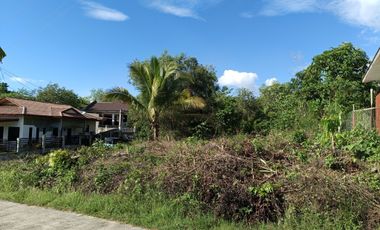 650sqm corner lot in Mariveles Dauis Panglao Bohol 3500 per sqm